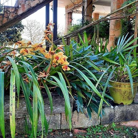 Pousada Canto Das Corujas São Roque 外观 照片