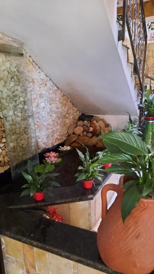Pousada Canto Das Corujas São Roque 外观 照片
