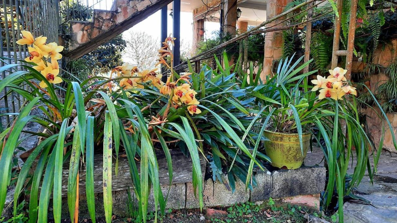 Pousada Canto Das Corujas São Roque 外观 照片